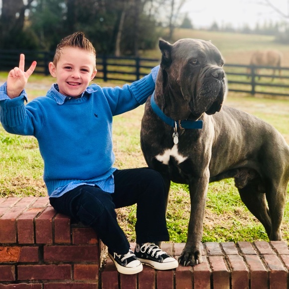 Welcome to OnlyTopBrands- Why Pay More, For Less! - Picture 8 of 11